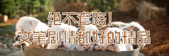 绝不套路！文笔剧情都好的精品